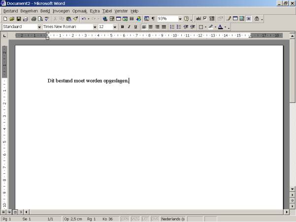 Een Bestand Opslaan In Word 0282